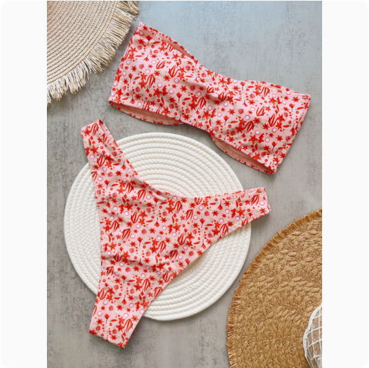 Floral Print Tube Top Bikini Set