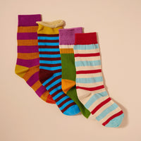 Basic Striped Mid Calf Socks Assorted Pack of DZ