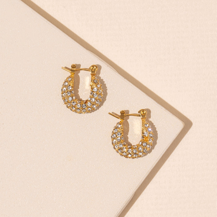 Clear Crystals 18K Gold Plated Stainless Earrings