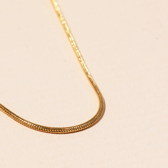 Dainty Chain 18K Gold Plated Stainless Steel Necklace