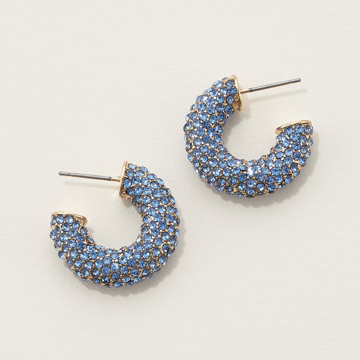 Rhinestone Pave Hoop Earrings