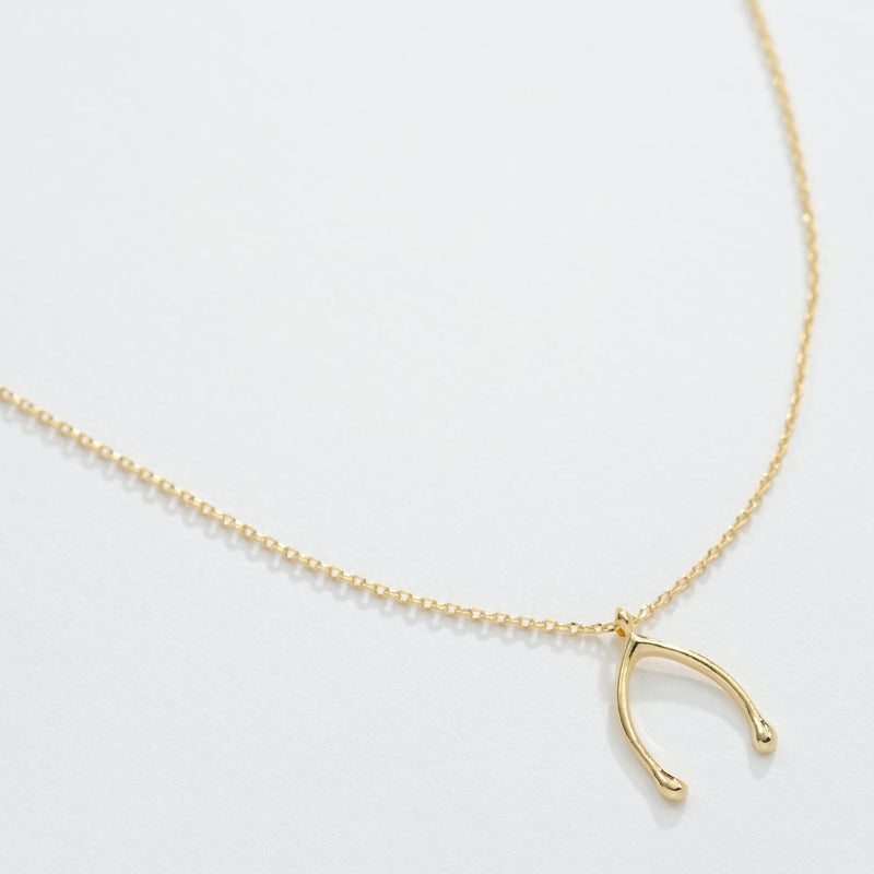 Gold Dipped Wishing Bone Necklace