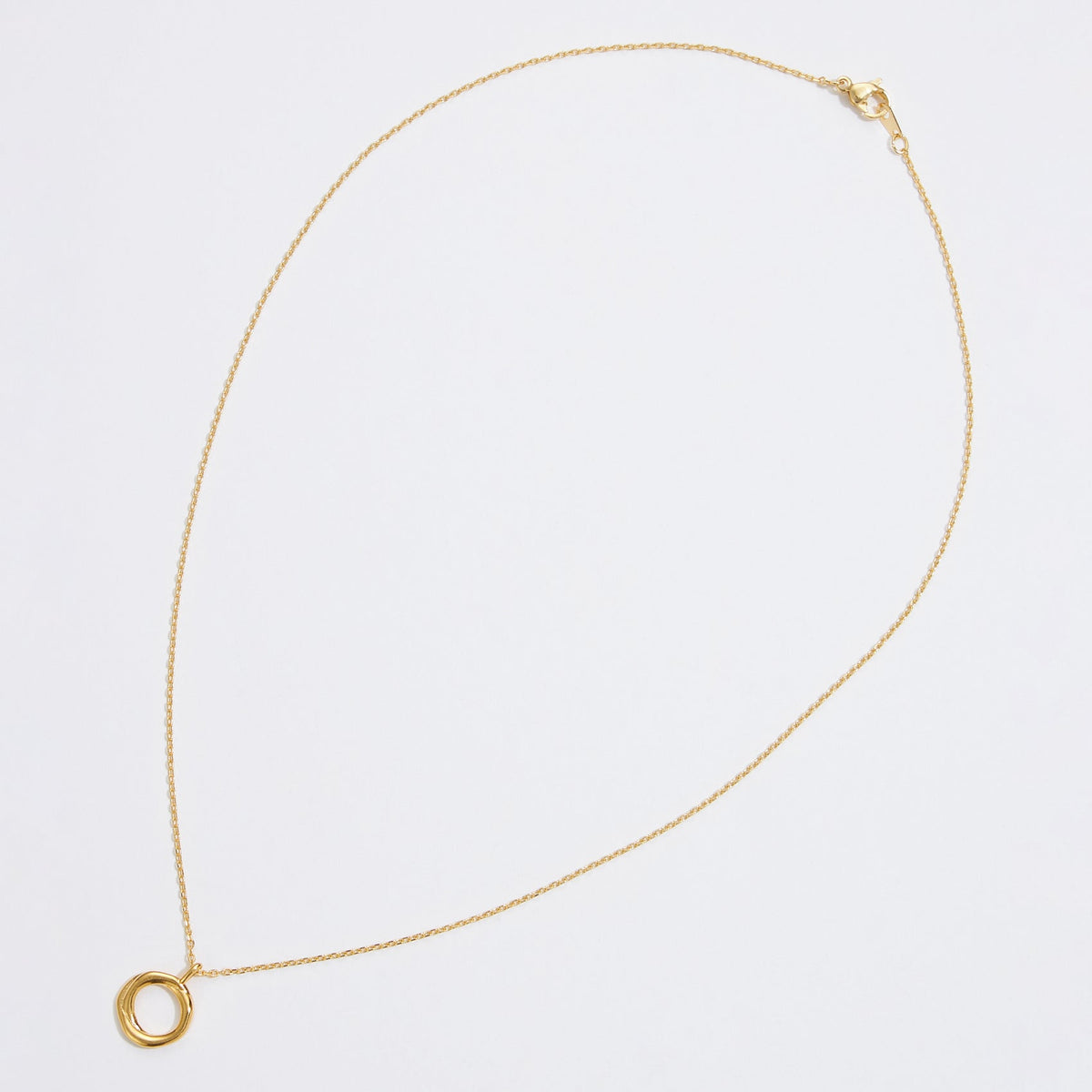 Gold Dipped Organic Circle Necklace