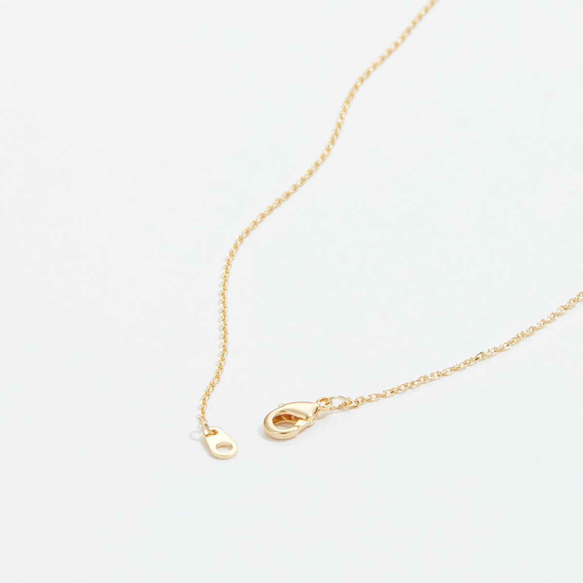 Gold Dipped Wishing Bone Necklace