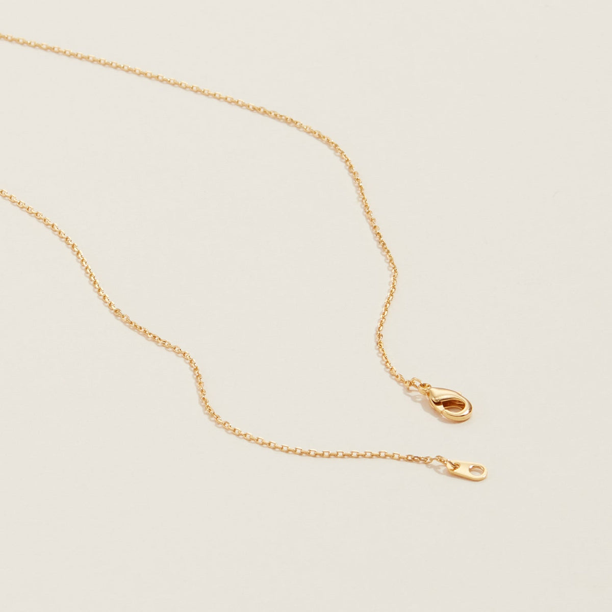 Gold Dipped Organic Oval Shaped Pendant Necklace