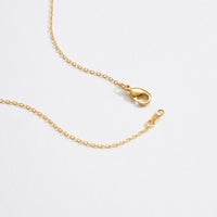 Gold Dipped CZ Duo Circle Necklace